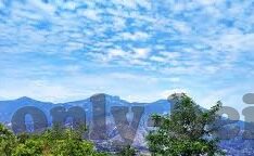 2018现场足球比分-2018，绿茵场上的数字狂欢——现场足球比分的激情记忆