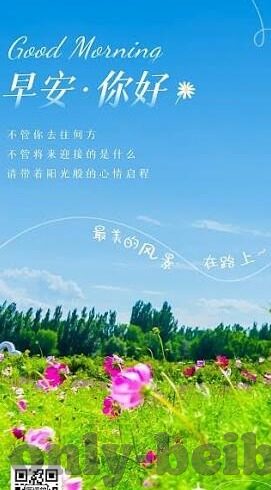 荷兰李盈莹世界杯-荷兰李盈莹闪耀世界杯，女排新星的光芒与成长轨迹
