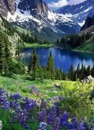 九游娱乐app下载-九游娱乐App，打造个性化娱乐新体验