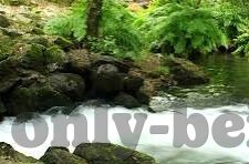 足球竞彩比分图片-足球竞彩比分图片，视觉化数据背后的赛事激情与投注智慧