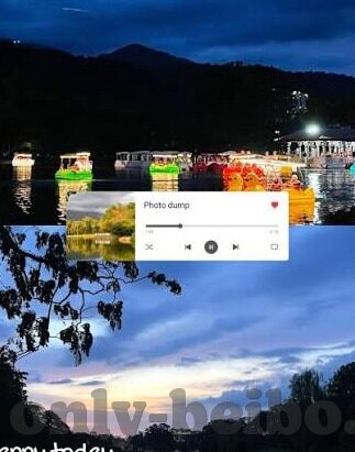 足球总比分网-足球总比分网，球迷的数字战场与情感港湾